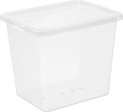 Image de plast team22970800 plast team Boîte de rangement BASIC BOX, 31,0 litres