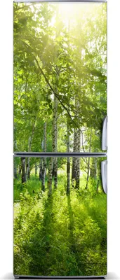 Imagen del producto de Decoración para nevera Tulup: Alfombrilla magnética, 60 cm x 180 cm. Imán para nevera, diseño "Bosque de abedules"