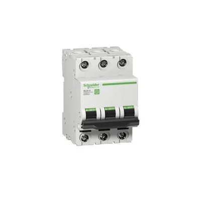 Obrázek produktu pro Schneider Electric jistič M9F23310
