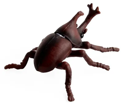 Immagine prodotto di Bambini Bambini Simulazione Insetti Figurina in plastica Giocattolo animale Modello didattico (#2)