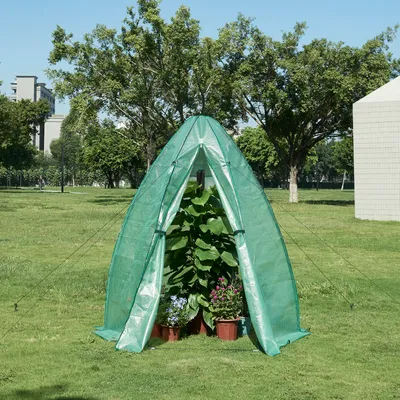 A green greenhouse tent with plants inside, set up on a grassy lawn with trees and buildings in the background.