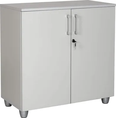 Produktbild von Aktenschrank, 80 cm x 40 cm x 80 cm, grau Nachbildung