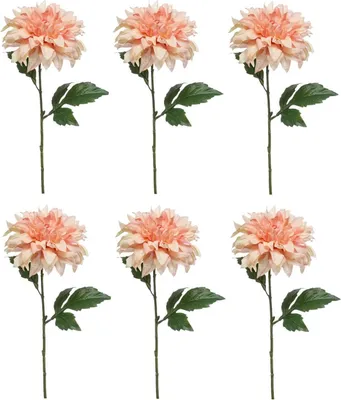 Produktbild von 6er Set künstliche Dahlien mit XXL Blüte rosa H. 60cm Emerald Kunstblumen