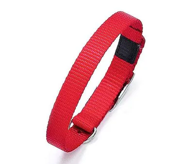 Produktbild von Karlie ASP Halsband - Rot - 25 mm, 65 cm