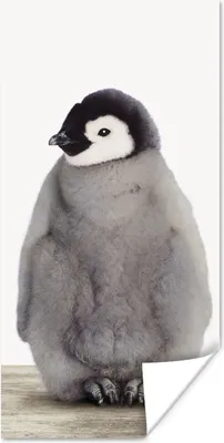 Produktbild von MuchoWow® Poster Kinder - Pinguin - Grau - Tiere - Mädchen - Jungen 80x160 cm - Kinderzimmer