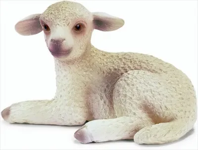 Produktbild von Schleich 13284 - Schäfchen, liegend