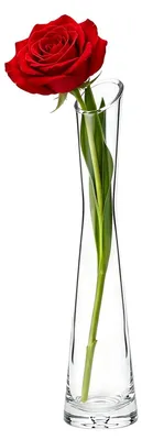 Glas-Knospenvase 25 cm, handgeblasen, transparent, für 1-3 Blumen
