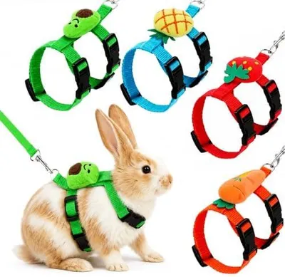 Produktbild von ZhouWei 4 Stück Kaninchen Leine, Weiches Kaninchen Geschirr Ausbruchsicher | Hasen Leine mit Leine Verstellbare, Hasen Geschirr für Hamster, Frettchen Ratten Mäuse Zwergkaninchen Kleine Häschen Katze
