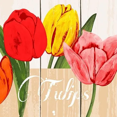 Produktbild von 600 Servietten, 3-lagig 1/4-Falz 25 cm x 25 cm "Blooming Tulips"