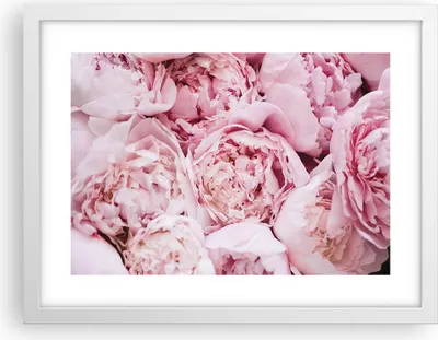 Produktbild von Gerahmtes Poster - Weißer Rahmen - Blumenstrauß Blumen Rosa - 40x30 cm - Wand Bild - Wanddeko - Wandbilder - Kunstposter - Wandposter - Bilderrahmen - Bilder - Kunstdruck - P2WAA40x30-5001