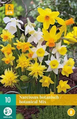 Artikelbild 1 von 'Narzisse Botanisch Mix (10 Stück)' aus der Kategorie Narzissenzwiebeln