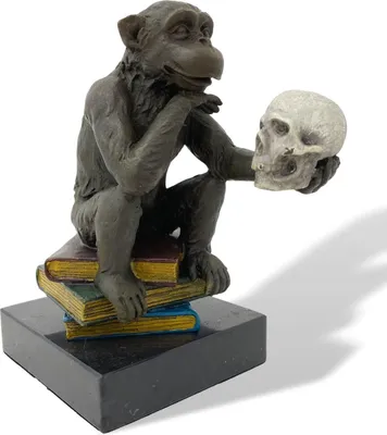 Produktbild von Bronzefigur Affe Darwin Philosophie Bücher Bronze Skulptur Antik-Stil 14cm