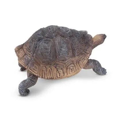 Produktbild von Toymany ML00309 Galapagos Riesenschildkröten 8 cm Reptilienreich