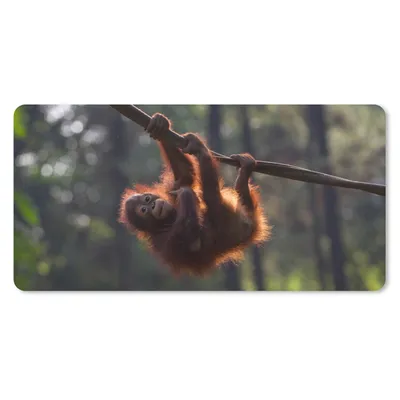 Produktbild von MuchoWow® Mauspad Mousepad Junger Orang-Utan hängt an einem Ast 60x30 cm - Mousepads - Maus Mat - Pad - Mausunterlage - Nachhaltig