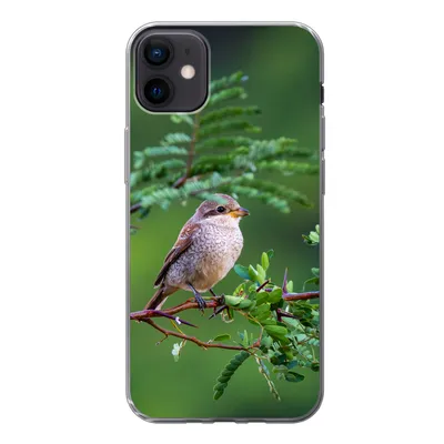 Produktbild von MuchoWow® Handyhülle Schutzhülle Hülle für iPhone 12 mini Vogel - Baum - Wald Silikon Softcase Handy Hülle - Bild
