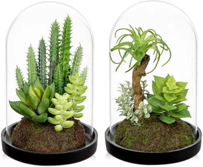 Immagine prodotto di Piccole piante artificiali, decorazione in vetro da 15 cm per il soggiorno