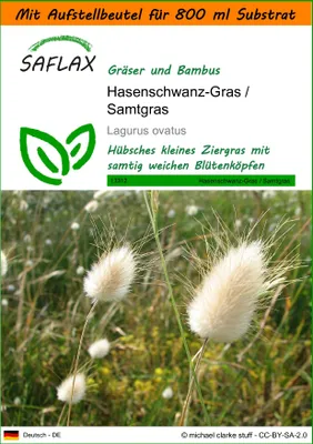 Produktbild von SAFLAX Garden in the bag - Hasenschwanz-Gras / Samtgras - Lagurus ovatus - 100 Samen - Mit Anzuchtsubstrat im praktischen, selbst aufstellenden Beutel