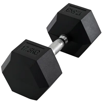 Productafbeelding van Halter, 17,5 kg, halterstang, gewicht, antisliphandgreep, zwart + zilver