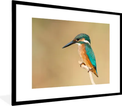 Produktbild von MuchoWow® Gerahmtes Poster Eisvogel - Tiere - Vogel 80x60 cm - Poster mit Schwarzem Bilderrahmen Wandposter Rahmen Foto Bilder - Schlafzimmer-Dekorationen - Fotoposter