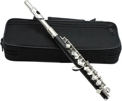 Immagine prodotto di Flauto traverso con 16 fori - Intonazione in Do - Per suonare musica - Fori chiusi - 31,5 cm - Argento