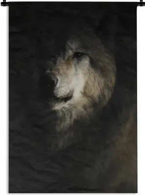 Produktbild von MuchoWow® Wandteppich Wandbehang Wolf - Hell - Dunkel 60x90 cm Tapisserie Dekoration Wandtuch - Foto-Teppich - Abwaschbar