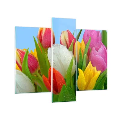 Produktbild von Bilder auf glas - Tulpen Blumenstrauß Blumen Tau - 95x80cm - Glasbilder - Wandbilder - Kunstdruck - zum Aufhängen bereit - Wanddekoration aus Glas - Glas Bilder - Wandbild auf Glas - GCB95x80-2526