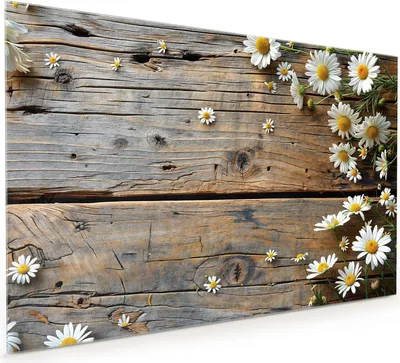 Produktbild von Küchenrückwand Spritzschutz Glas mit Motiv Holz und Gänseblümchen 40 x 40 cm
