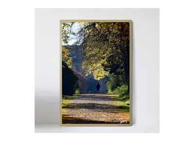 Produktbild von Goldene Freundschaft Holz Foto Bild 40x60cm Kunst Fotografie Wand Hund Haustier