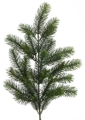 Produktbild von Künstlicher TANNENZWEIG mit 28 Trieben. Ca 65 cm.