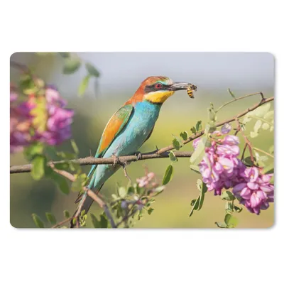 Produktbild von MuchoWow® Schreibtischunterlage Vogel - Bienenfresser - Blumen 60x40 cm - XXL Mauspad - Großes Mauspad