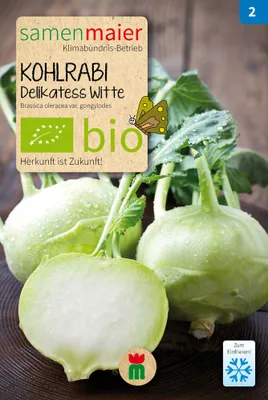 Produktbild von Kohlrabi Delikatess Witte - Saatgut für zirka 50 Pflanzen