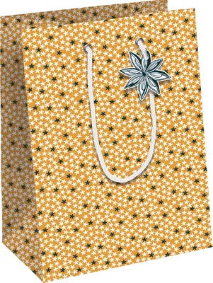Produktbild von Clairefontaine Weihnachts-Geschenktüte "Agrumes" klein
