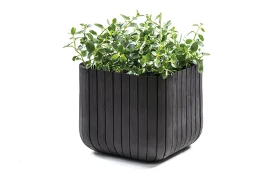Produktbild von KETER Cube Planter L Blumentopf 40 X 40 X 40 cm Anthrazit 230225