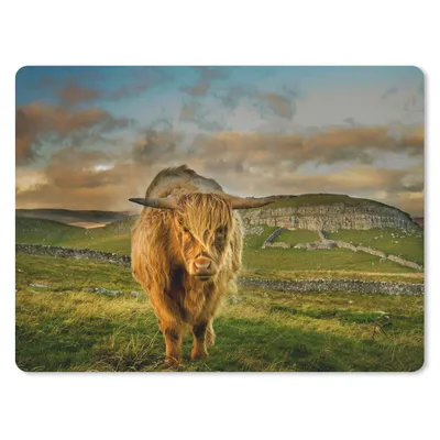 Produktbild von MuchoWow® Mauspad Mousepad Schottischer Highlander - Gras - Berg 40x30 cm - Mousepads - Maus Mat - Pad - Mausunterlage - Anti Rutsch