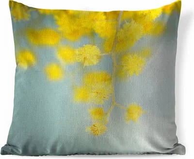 Produktbild von MuchoWow® Zierkissen Sofakissen Wohnzimmer Dekokissen 60x60 cm Eine gelbe Mimosenpflanze mit hellblauem Hintergrund - Sitzfläche - Foto Polster