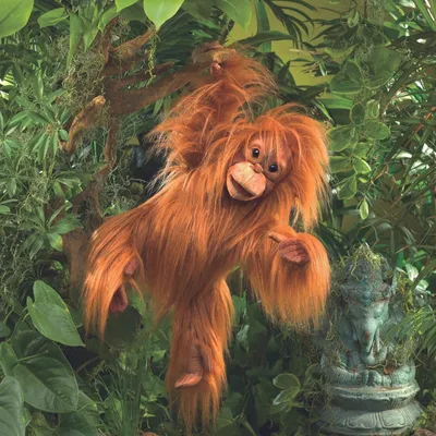 Produktbild von Folkmanis Affe / Baby Orang-Utan 3106