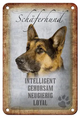 Produktbild von Blechschild Spruch 12x18cm Schäferhund Hund Schild