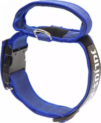 Obrázek produktu pro Julius K9 Obojek pro psy 50 mm 49-70 cm Modrý 200ha-KB-2015