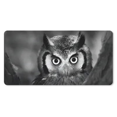 Produktbild von MuchoWow® Schreibtischunterlage Vogel - Eule - Porträt - Schwarz - Weiß 80x40 cm - XXL Mauspad - Gaming Mauspad