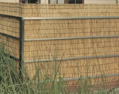 Produktbild von Sesua Schilfrohrmatte Schilf Sichtschutzmatte 600x100cm Balkon Sichtschutz Schilfrohr für Garten & Terrasse Windschutz