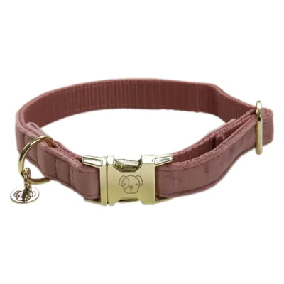 Obrázek produktu pro Kentucky Dogwear Sametový obojek pro psy Obojek pro psy