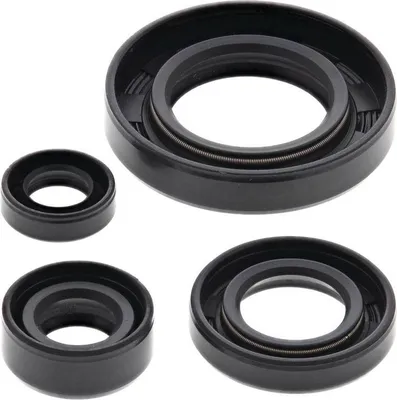 Obrázek produktu pro Sada motorových těsnění WINDEROSA W822195