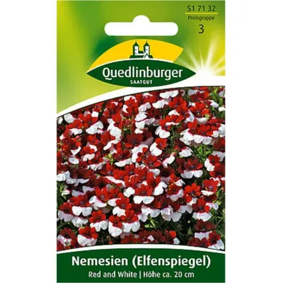 Immagine prodotto di Quedlinburger Saatgut - Nemesia (Specchio dell'elfo) rosso e bianco - Semi - 517132
