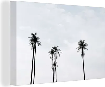 Zdjęcie produktu dla OneMillionCanvasses® - Obraz na płótnie - Fototapeta na płótnie - Palmy - Lato - Tropikalny - 150x100cm - Fotografia na płótnie - obraz