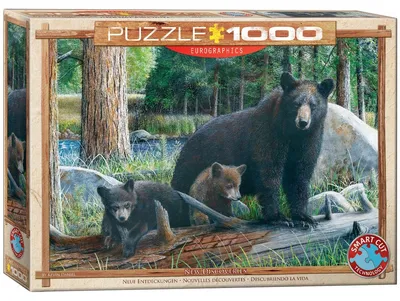 Zdjęcie produktu dla Puzzle EUROGRAPHICS Nowe odkrycia 1000 elementów