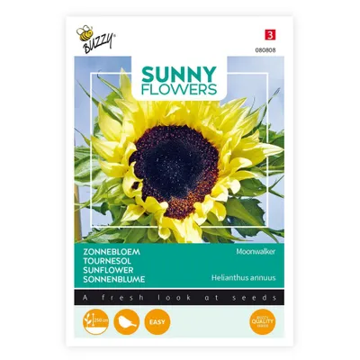 Obrázok produktu pre Buzzy Sunny Flowers Sonnenblume Moonwalker Samen - cca 2,5 gr | Buzzy_080808
