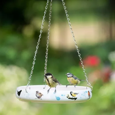 Produktbild von Myrte Vogeltränke „Gartenvögel"
