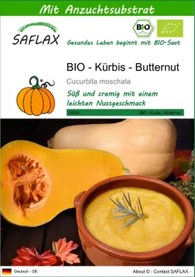 Produktbild von SAFLAX - BIO - Kürbis - Butternut - Cucurbita moschata - 6 Samen - Mit keimfreiem Anzuchtsubstrat