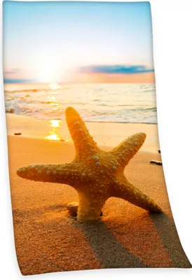 Produktbild von Strandlaken Strandtuch - 93 x 170 cm - Seestern - Duschtuch Saunatuch Badetuch Baumwolle