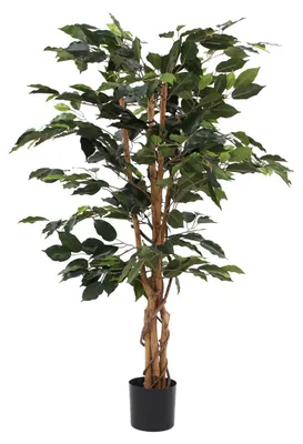 Produktbild von Mica Decorations Ficus Kunstpflanze - H110 x Ø65 cm - Grün
